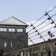 Die Internationale Befreiungsfeier in der KZ-Gedenkstätte Mauthausen erinnert an die Befreiung des Konzentrationslagers