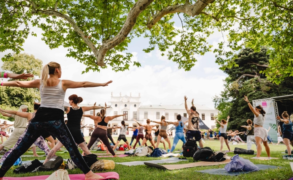Teilnehmer beim Outdoor-Yoga im Park von Schloss Hetzendorf in Wien
