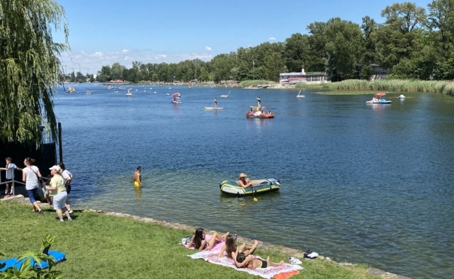 Blick über das Kaiserwasser auf das Gänsehäufel an einem sonnigen Sommertag in Wien
