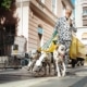 Mann im Dalmatiner-Anzug führt mehrere Dalmatiner für die Kampagne „Make it extra“ von Schweppes