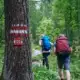 Zwei Wanderer mit Rucksäcken auf einem markierten Wanderweg