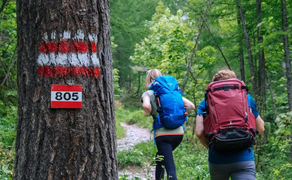 Zwei Wanderer mit Rucksäcken auf einem markierten Wanderweg