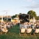 Kultursommer Wien macht Station in Floridsdorf