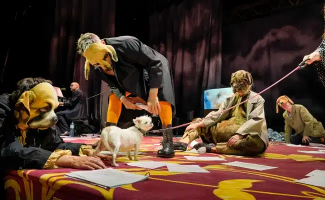 Premiere von „Unter Tieren“ bei den Salzburger Festspielen mit Hundemasken, Live-Musik und einem Hund auf der Bühne