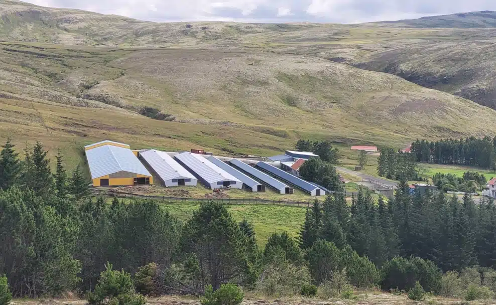 Die Gebäude der Pelzfarm Dalsbu liegen zwischen bewaldeten Hügeln im Mosfellstal.