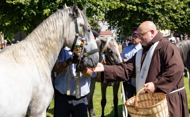 Ein Pfarrer segnet einen mit Blumen geschmückten Lipizzaner während des traditionellen Almabtriebs.