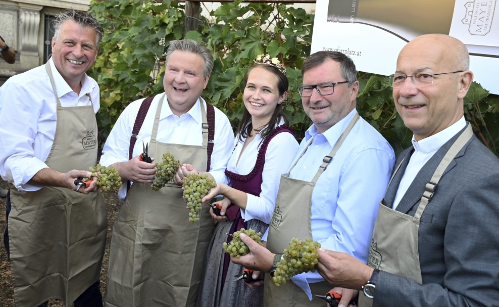 Bürgermeister-Weinlese am Wiener Schwarzenbergplatz.
