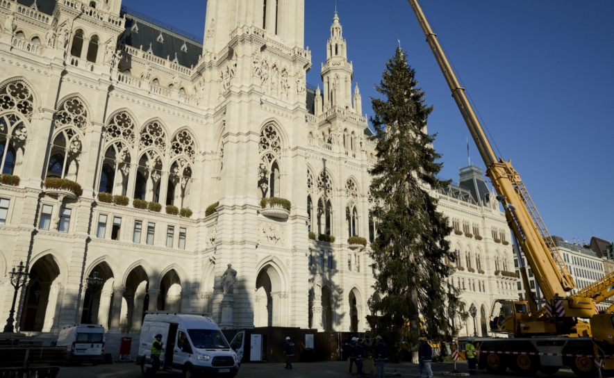 Noch ungeschmückter Weihnachtsbaum vor dem Wiener Rathaus, darüber der Ausleger eines Krans.